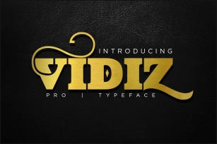 VIDIZ PRO Typeface Font Download