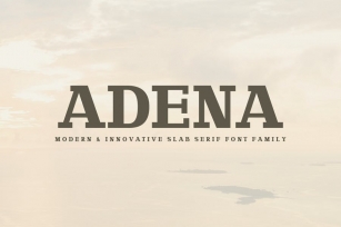 Adena Slab Serif Font Family Font Download