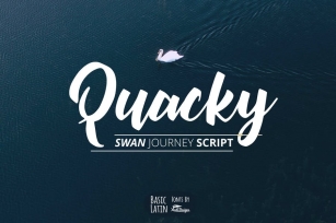 Quacky Font Font Download