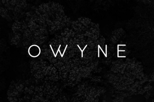 OWYNE - Modern Fashion / Stylish Typeface Font Download
