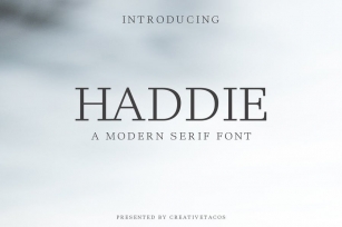 Haddie Modern Serif Font Family Font Download
