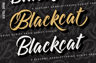 Blackcat Script // Regular and Extruded Font Download