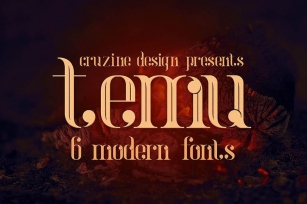 temu - Modern Font Font Download