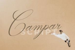 Campar Script Font Download