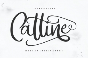 Catline | Modern Calligraphy Script Font Download