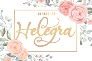 Helegra | Beauty Font Script Font Download