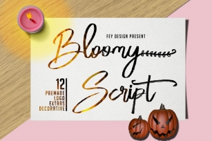 Bloomy Script - Handwritting Font Font Download