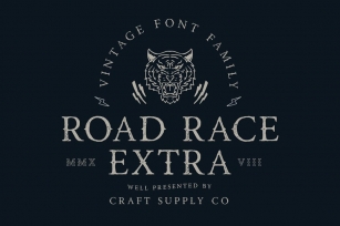 Road Race Extra Font Family Font Download