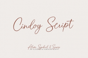 Cindoy Script Font Download