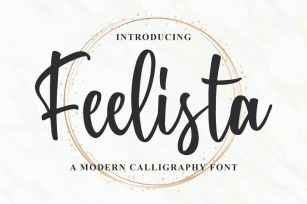 Feelista - a Modern Calligraphy Font Font Download