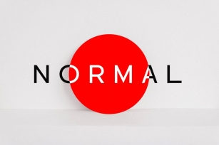NORMAL - Minimal Sans Serif Typeface + WebFonts Font Download