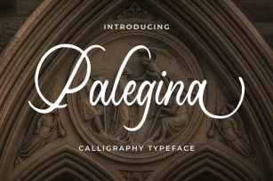Palegina - Calligraphy Typeface Font Download