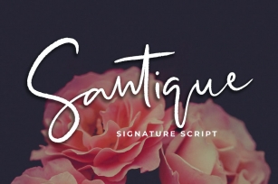 Santique Signature Script Font Font Download