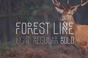 Forest Line Font Condensed Font Download