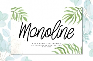 Monoline Script Collection - 3 Fonts Font Download