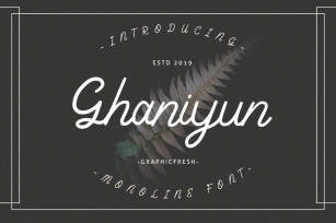 Ghaniyun Monoline Font Font Download