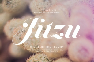 Jitzu Typefamily Font Download
