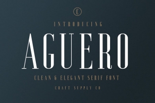 Aguero Serif - Clean & Elegant Font Font Download