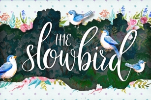 The Slowbird - Typeface Font Download