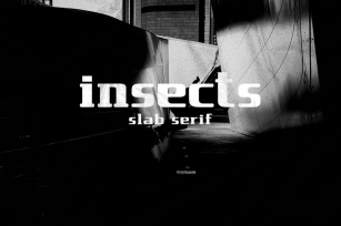 insect slab serif Font Download