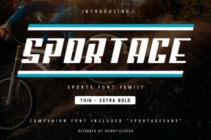 Sportage - Font Family Font Download