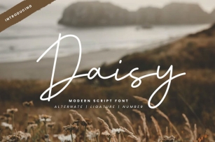 Daisy - Modern Script Font Font Download
