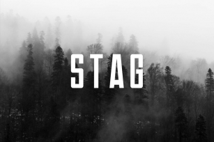 STAG - Modern Display / Headline / Logo Typeface Font Download