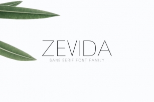 Zevida Sans Serif Font Family Font Download