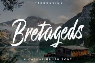 Bretageds Brush Font Font Download