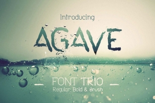 Agave Font Trio Font Download