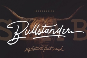 Bullstander 6 Font Set Signature Monoline Font Download
