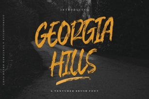Georgia Hills - A Textured Brush MS Font Download