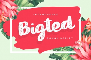 Bigted | Rough Script Font Font Download