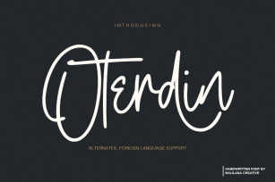 Oterdin - Handwritten Font Font Download