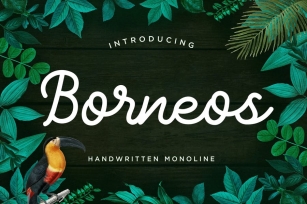 Borneos - Monoline Handwriting Font Download