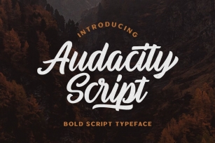 Audacity Script - Adventure Typeface Font Download