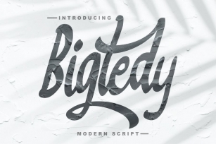 Bigtedy Modern Script Font Download