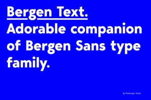 Bergen Text Font Download