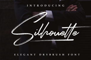 Silhouette Elegant Dry Brush Font Font Download