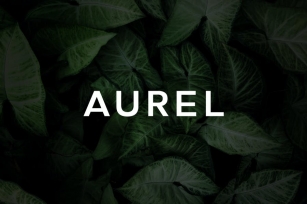 Aurel - An Open Sans Serif Typeface Font Download