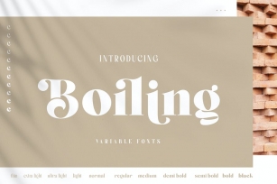 Boiling Font Family Font Download