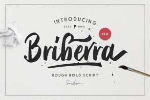 Briberra - Rough Bold Script Font Download