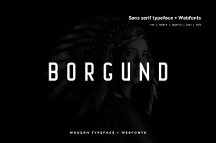 Borgund - Modern Typeface + WebFont Font Download