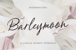 Barleymoon Beauty Script Font Font Download