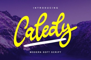 Caledy | Modern Soft Script Font Download