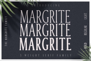 Margrite - Tall Serif Font Family Font Download