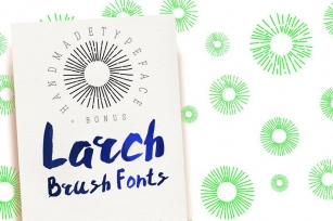 Larch Brush Font Font Download