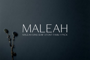 Maleah Sans Serif Font Family Pack Font Download