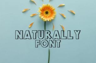 Naturally Font Download
