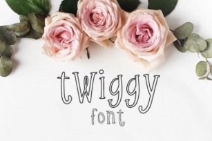 Twiggy Font Download